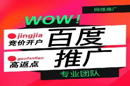 某公司通过竞价SEM优化搜索引擎排名案例