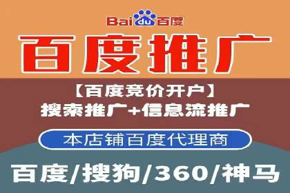 竞价排名的投放策略与效果评估案例